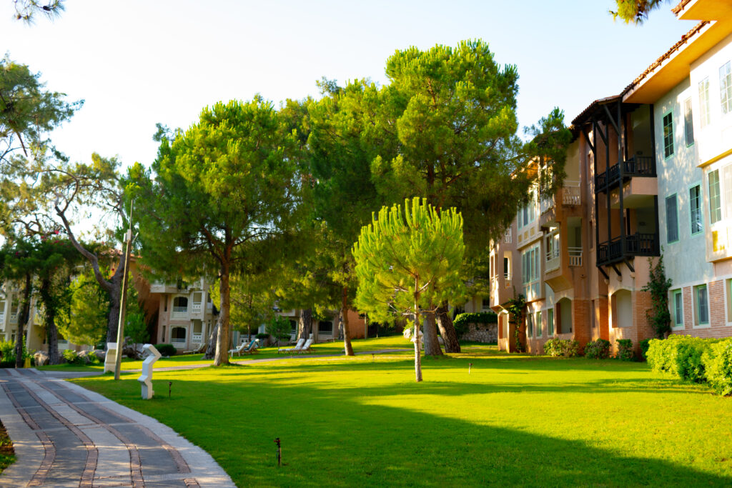 Timeshare Exit Impact on Credit Score Explained