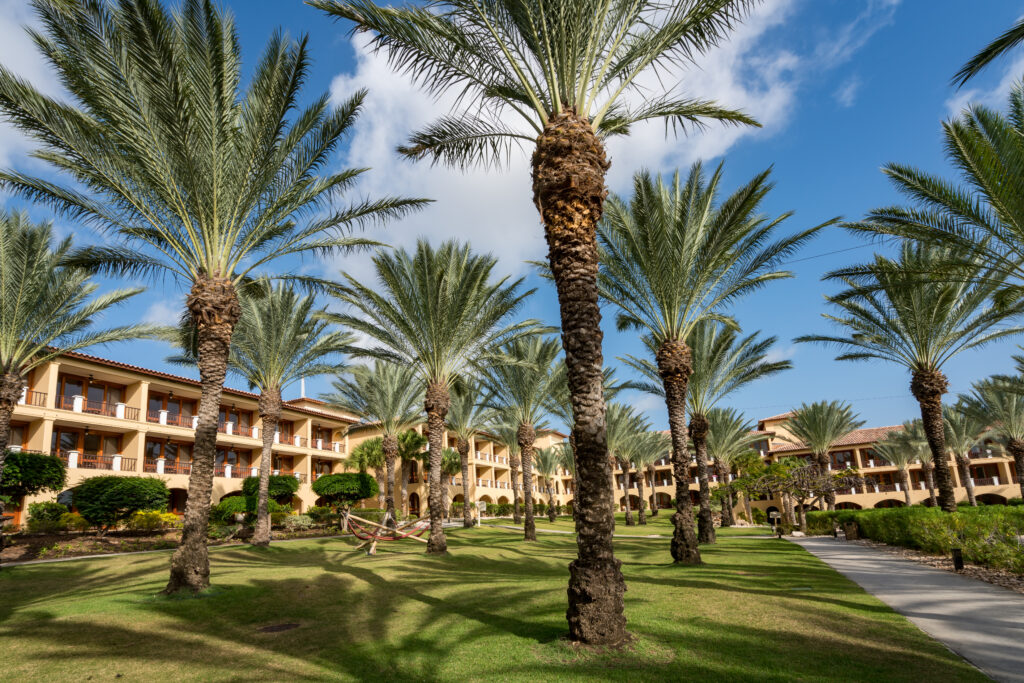 Timeshare Exit Process US | Expert Exit Solutions